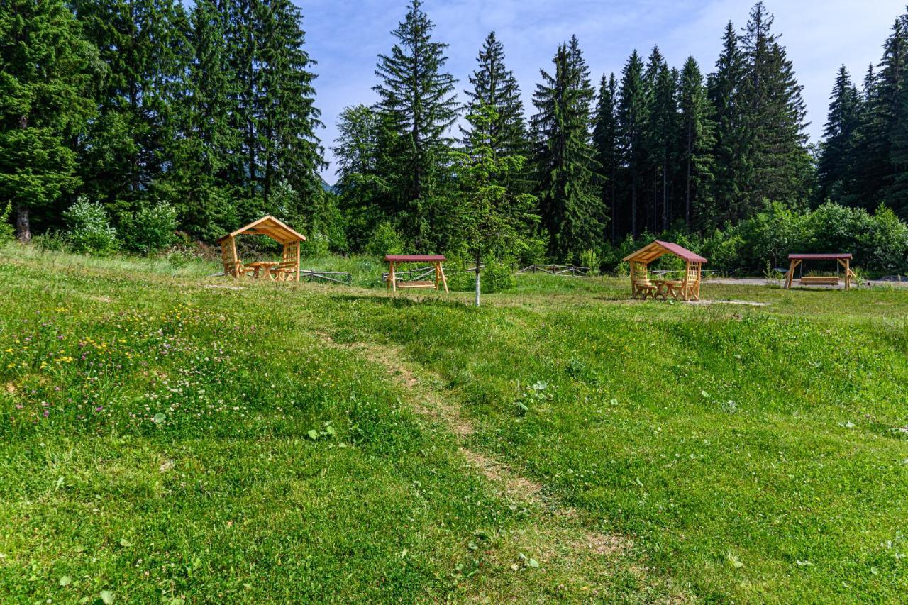 Fabulous Panorama Silver Mountain Apartments Poiana Brasov Exterior foto