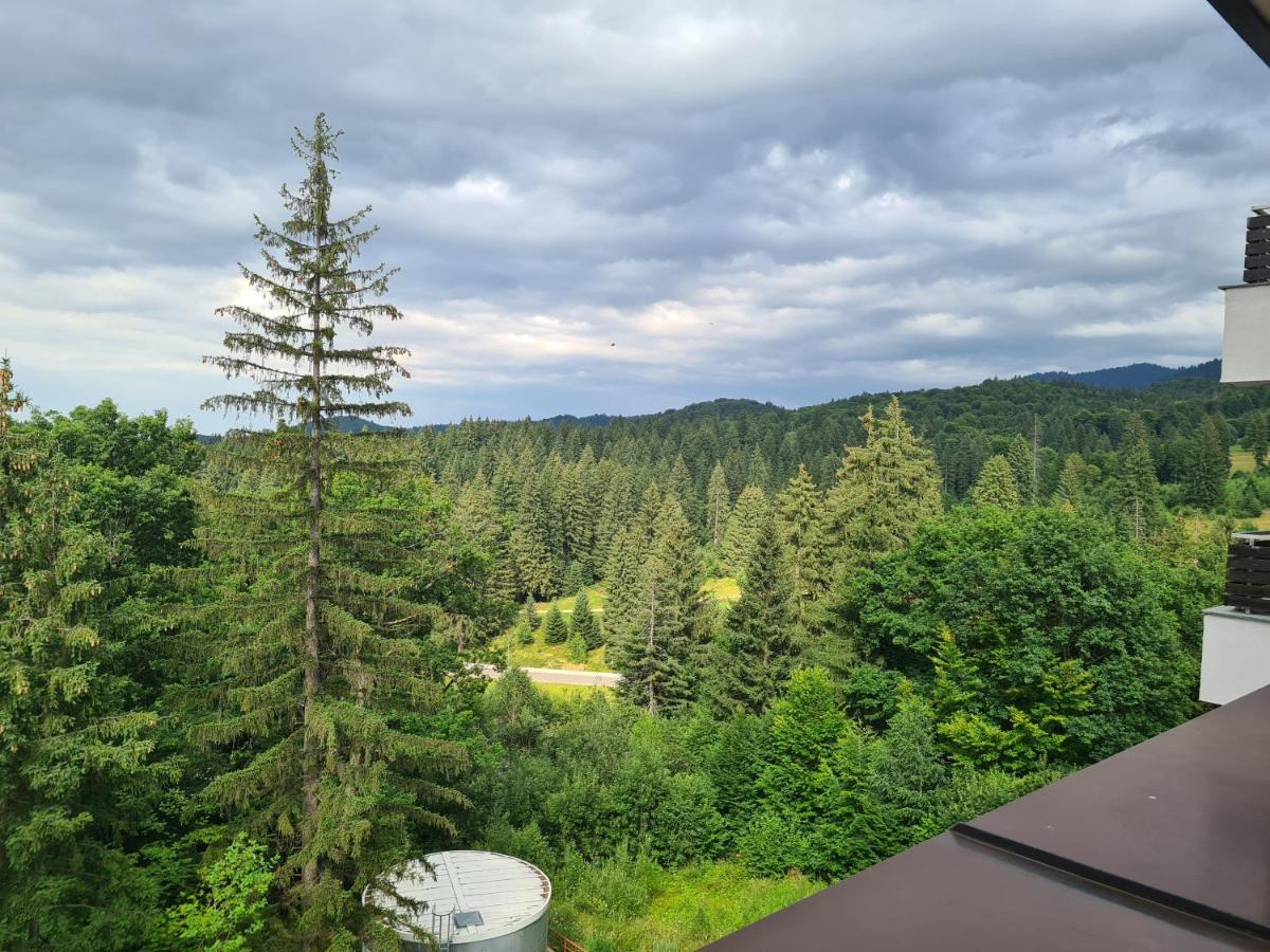 Fabulous Panorama Silver Mountain Apartments Poiana Brasov Exterior foto